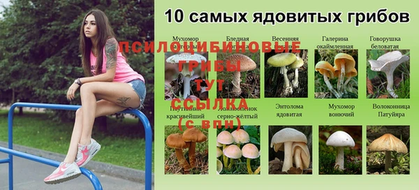 прущие крисы Алзамай