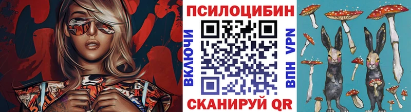 Галлюциногенные грибы мухоморы  закладки  Любим 